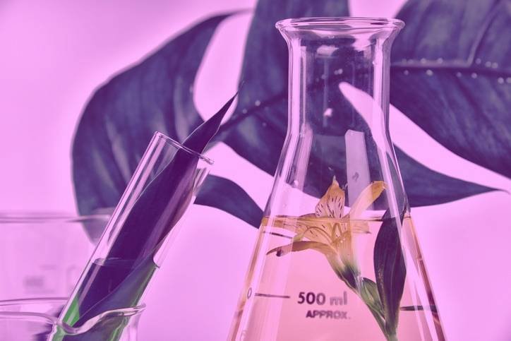 The Antioxidant Superpowers of Cacao: the Lab Report, Part II