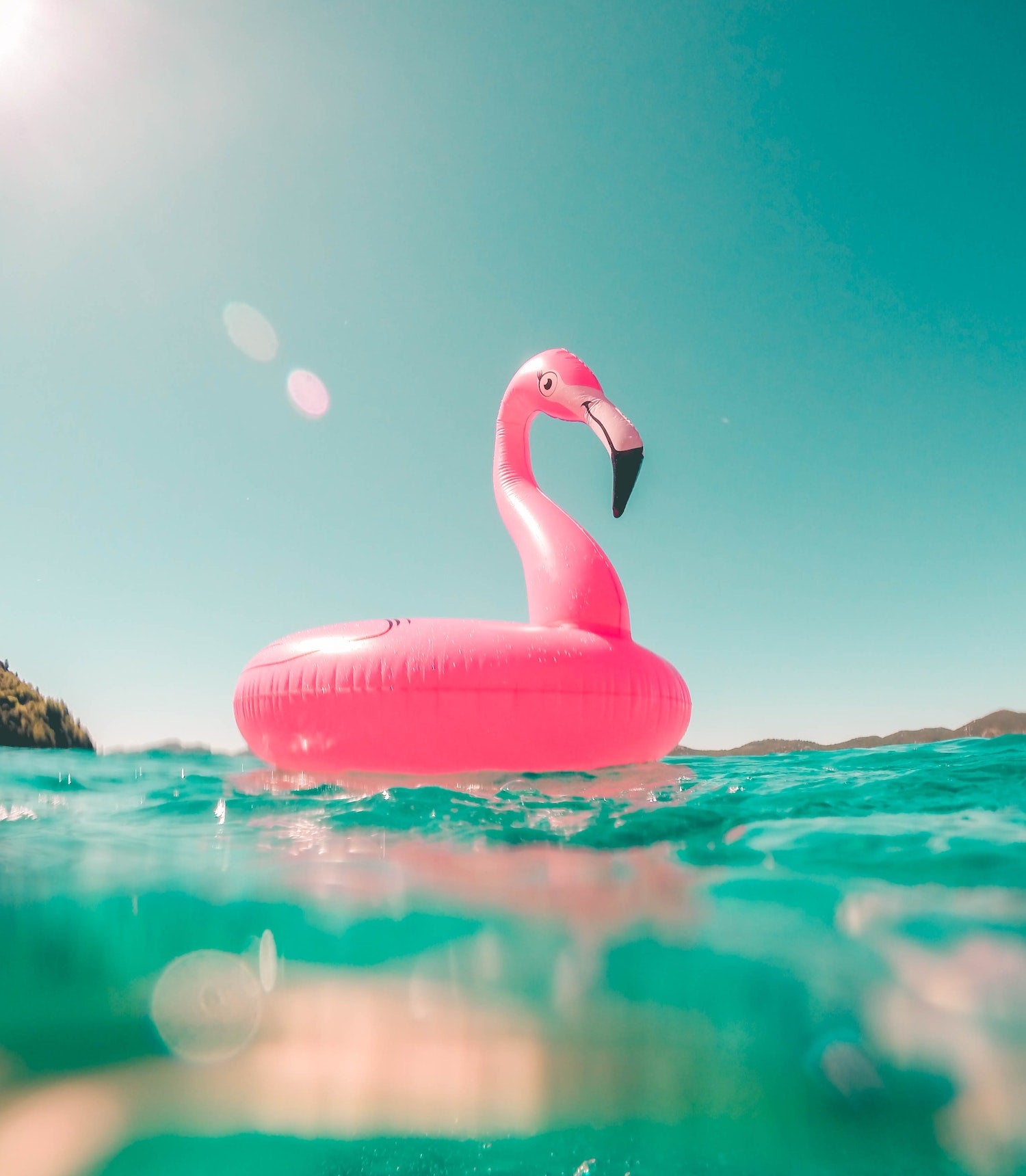 Pink Flamingo Floaty
