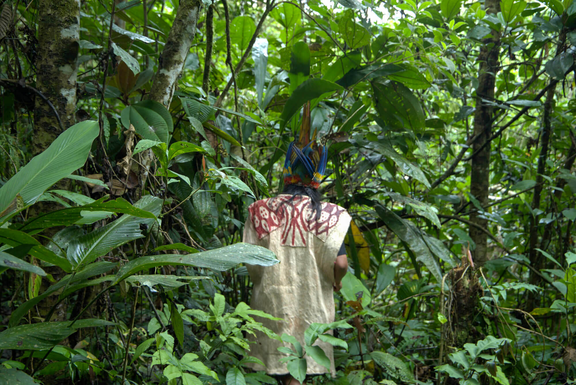 Cacao Laboratory