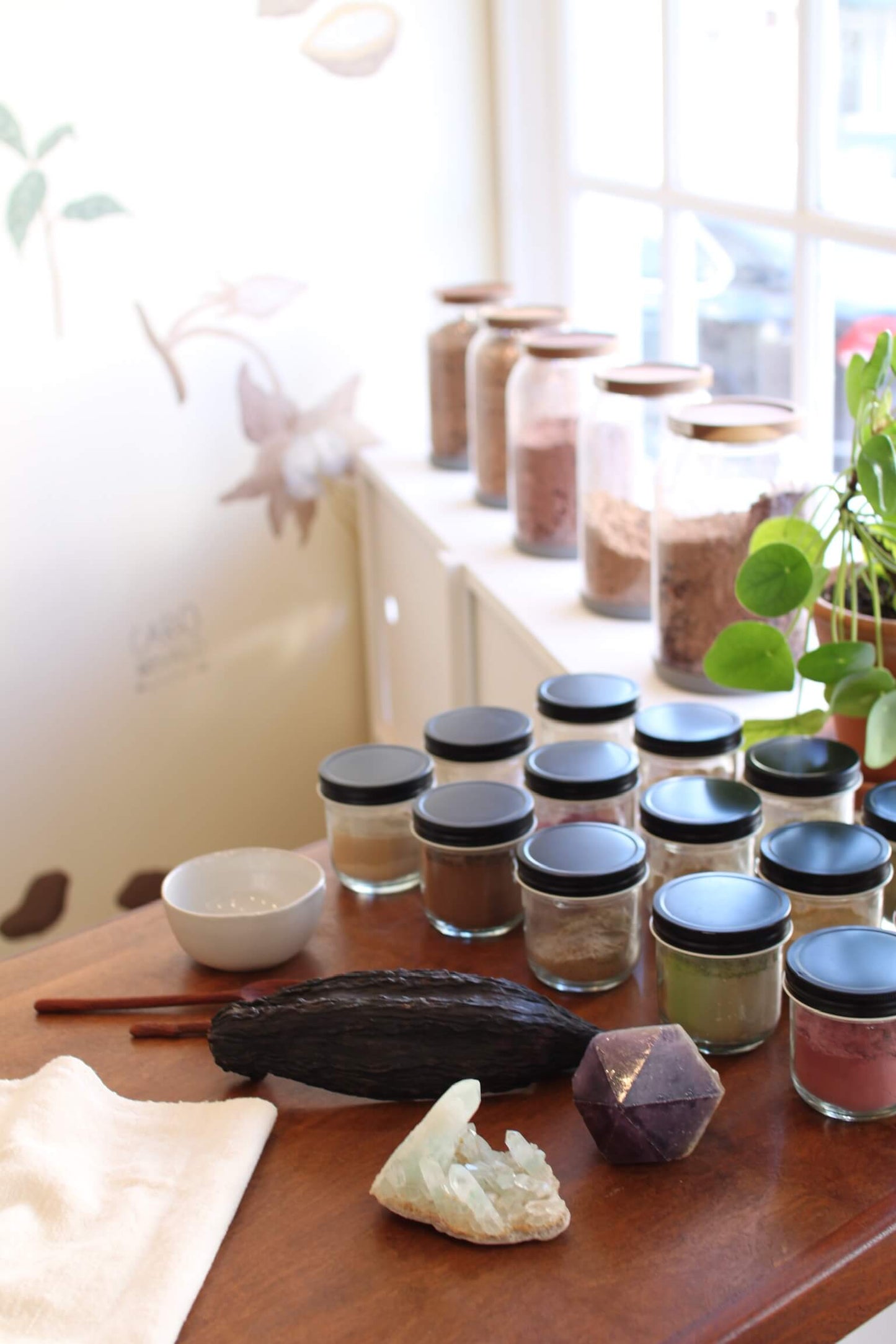 A counter with large jars of ceremonial cacao and medicinal foods