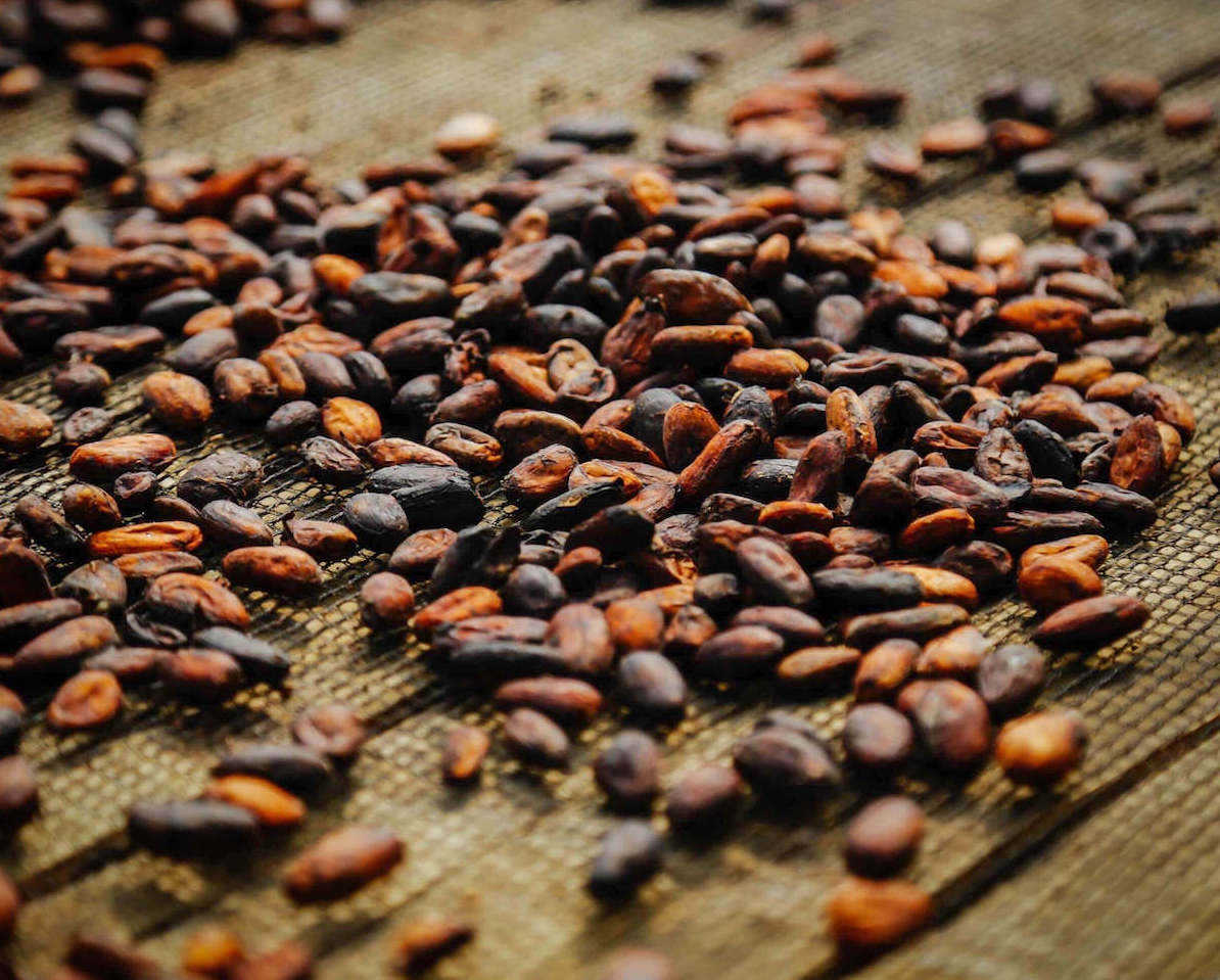 cacao beans drying on a mat