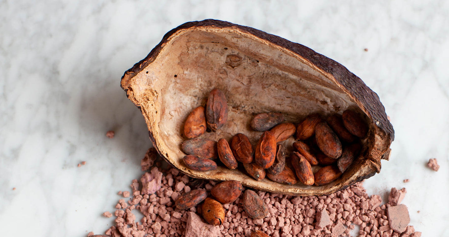 cacao pod half with beans and crumbled raw cacao